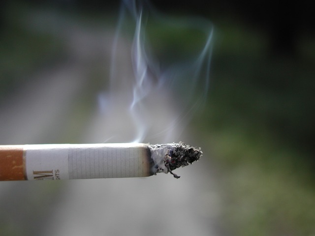 Each cigarette smokes takes 5 to 11 minutes off of the smoker's life span