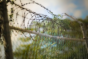 barbed-wire-600471_640