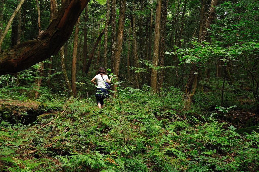 Suicide Forest, Japan